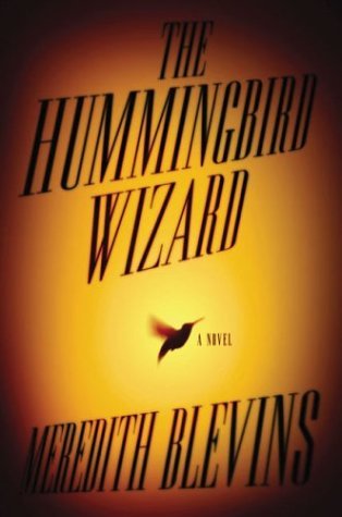 Image for The Hummingbird Wizard